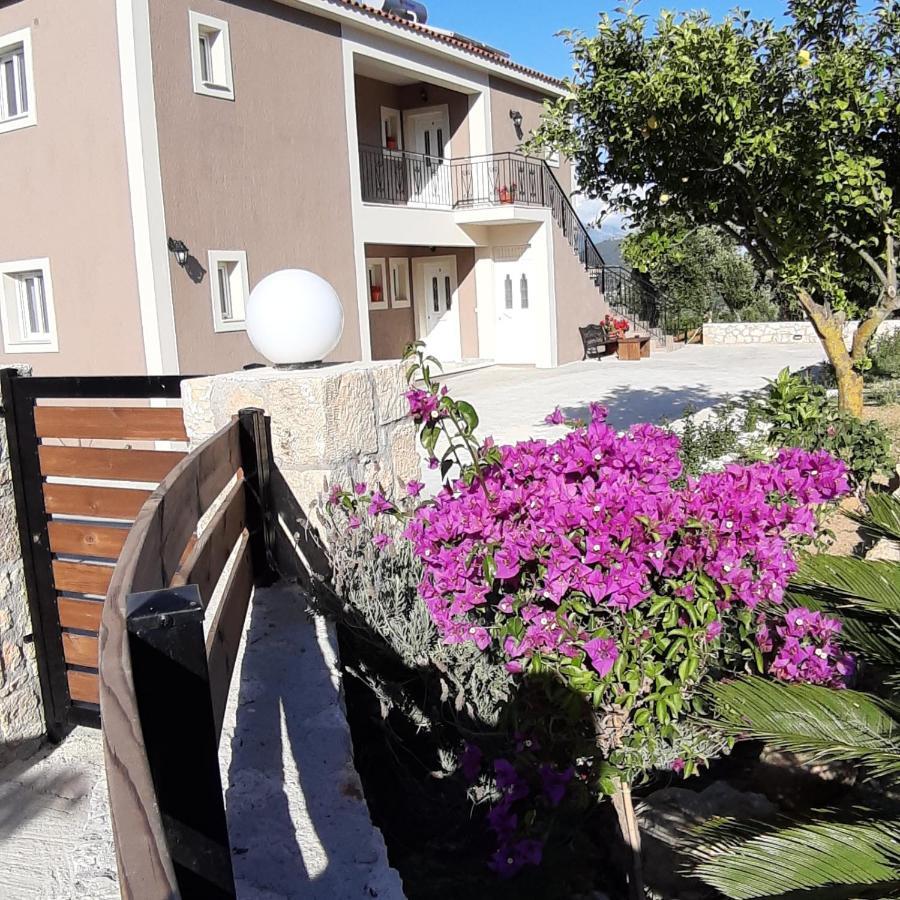 Nikoleta'S Studios Argostoli (Kefalonia) Exterior foto