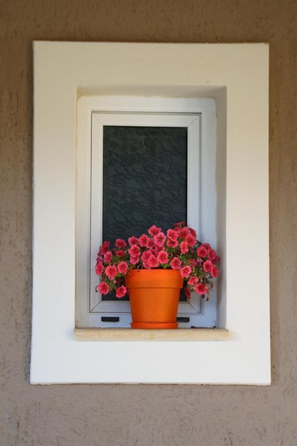 Nikoleta'S Studios Argostoli (Kefalonia) Exterior foto